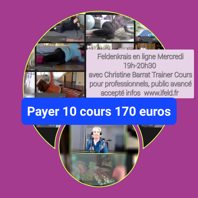 Pack de 10 cours virtuels PCM Méthode Feldenkrais 170 euros