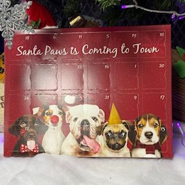 Finn's Advent Calendar