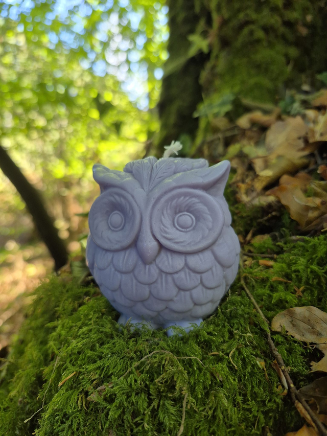 Alfred 🦉