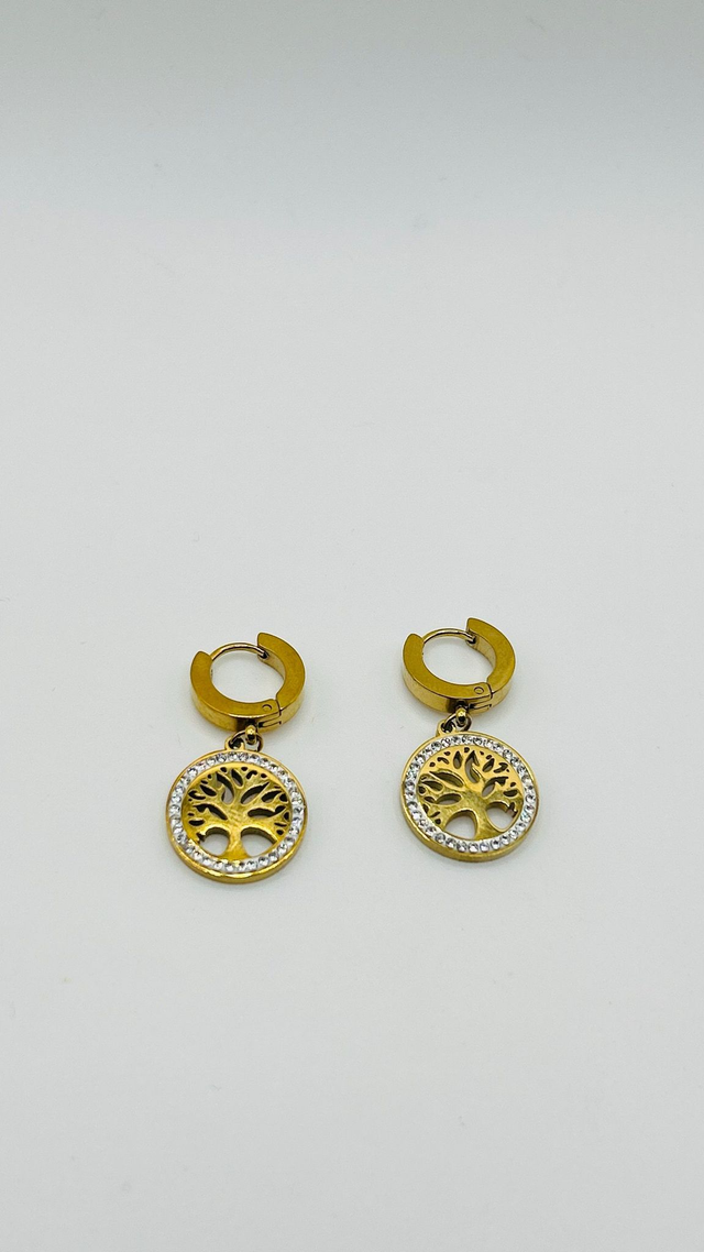 Stainless Steel Earrings (SSE61J)