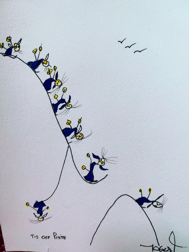 Tis Off Piste 