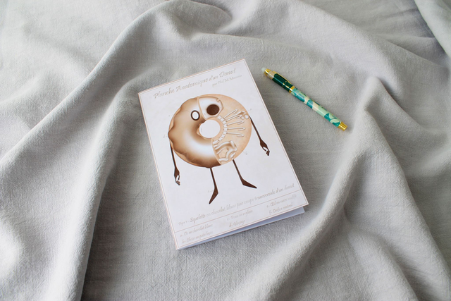 Carnet donut anatomie 