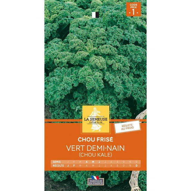 CHOU FRISE VERT DEMI NAIN (chou kale)
