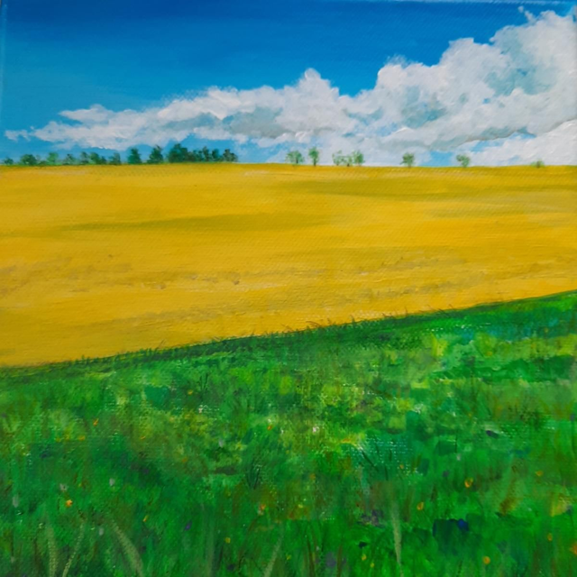 Yellow field