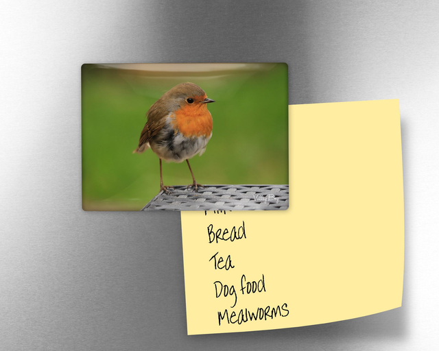 "Robin" Fridge Magnet  