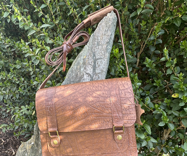 Satchel  - SOLD