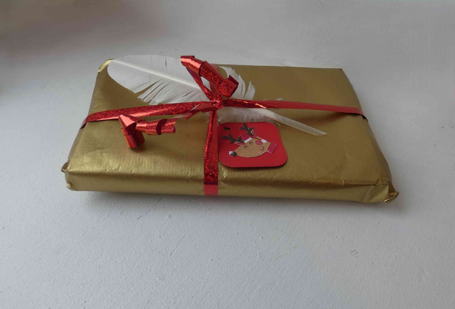 étiquettes cadeaux carrées rouges avec renne