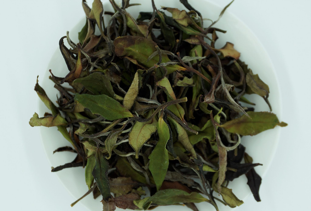 Dartmoor Rising Mist - White Tea