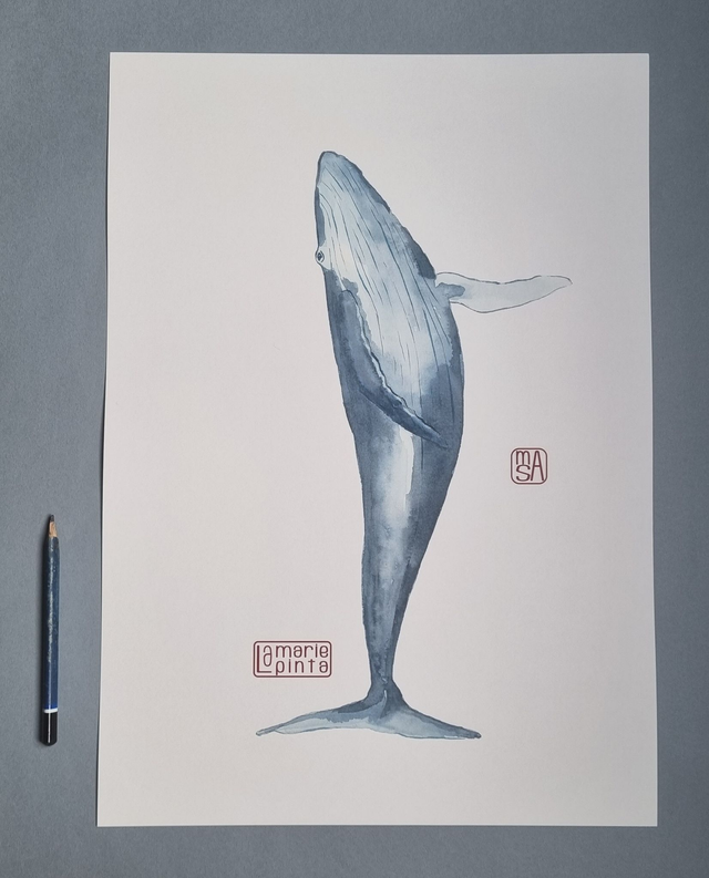 baleine invitation à partir de 4€