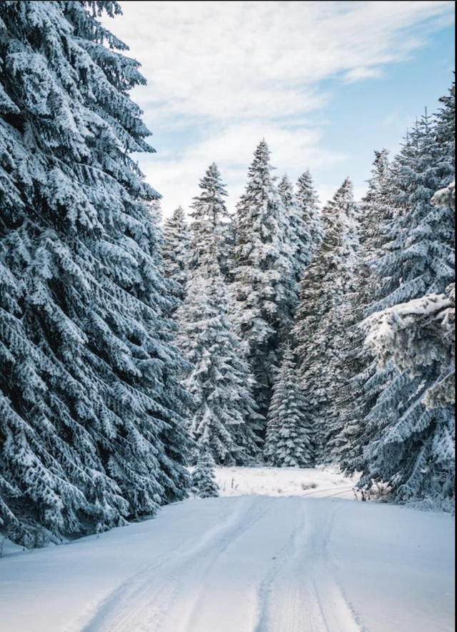 Box mystère hivernale 
