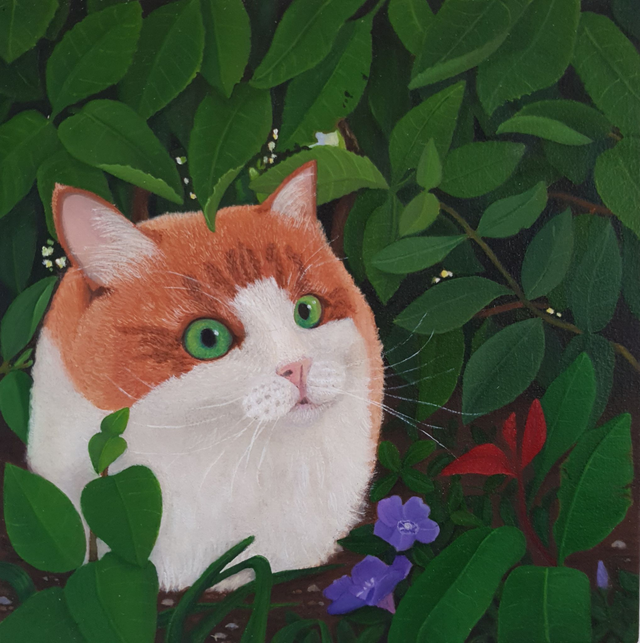 GINGER BALL
