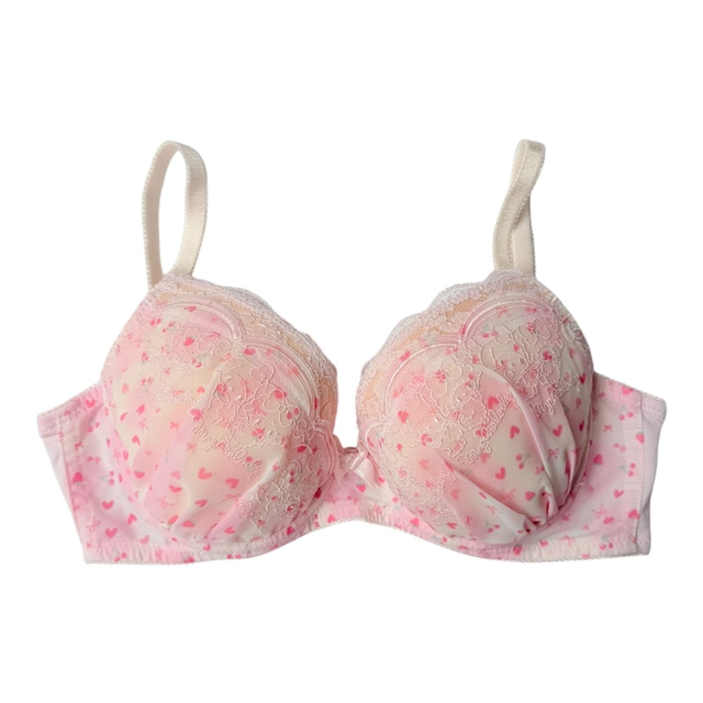 My melody + my sweet piano pink heart bra 