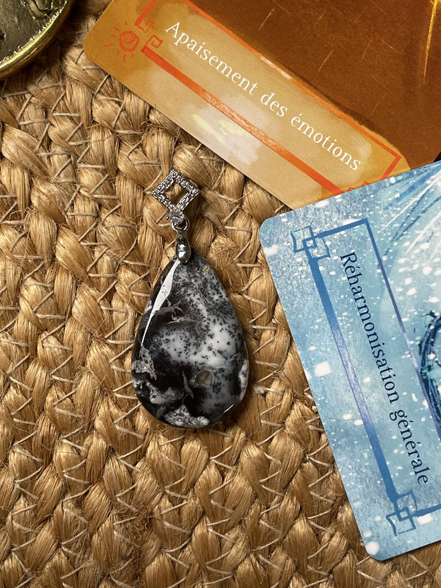 🦅AGATE DENTRITE-DENTRITIQUE