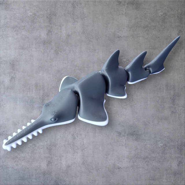 Requin scie articulé