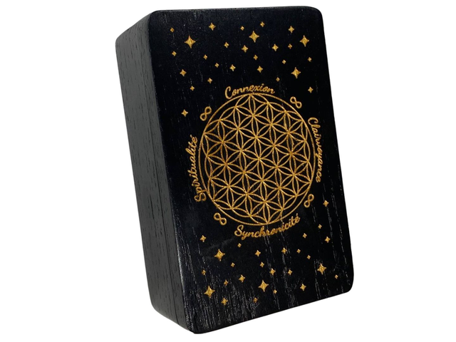 Le Belline de Johwan Edition Secrète 2025