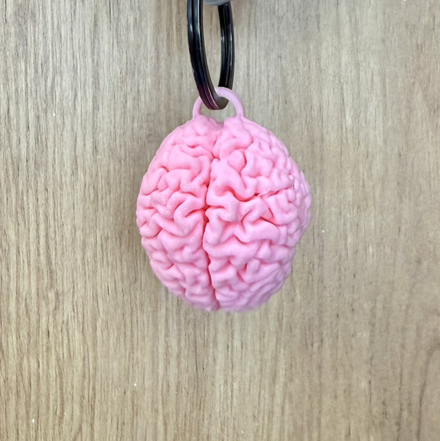 Brain “use it” keychain