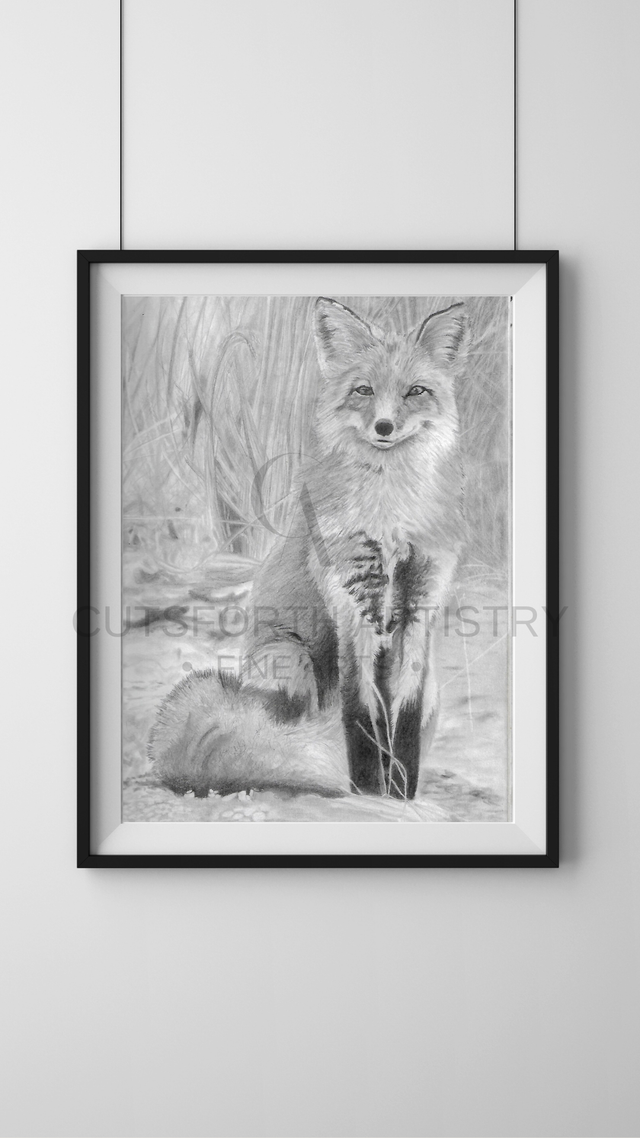 Fox Meet Field | Giclee Prints