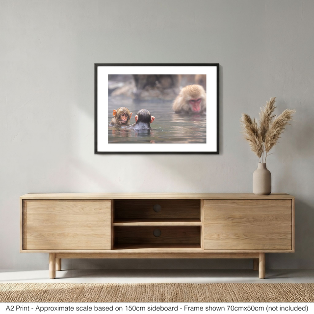 Snow Monkeys - Baby Monkeys at Play