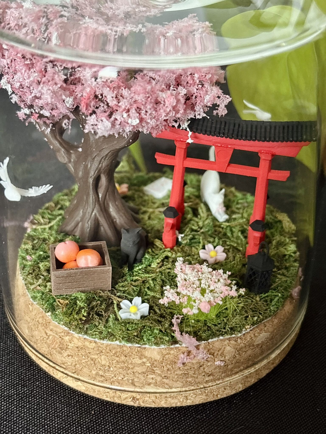 đ Terrarium verre 10cm - Ădition japon