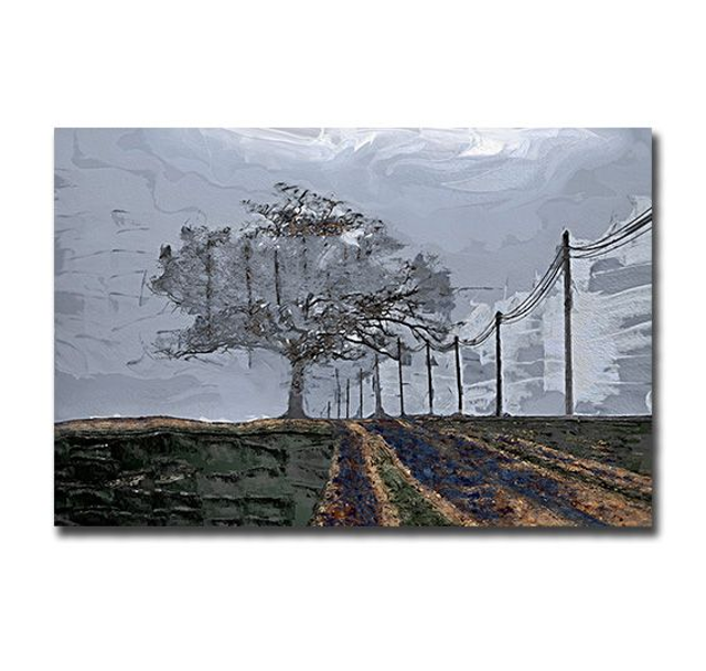 02 Nature - Wired Memory, 2020.