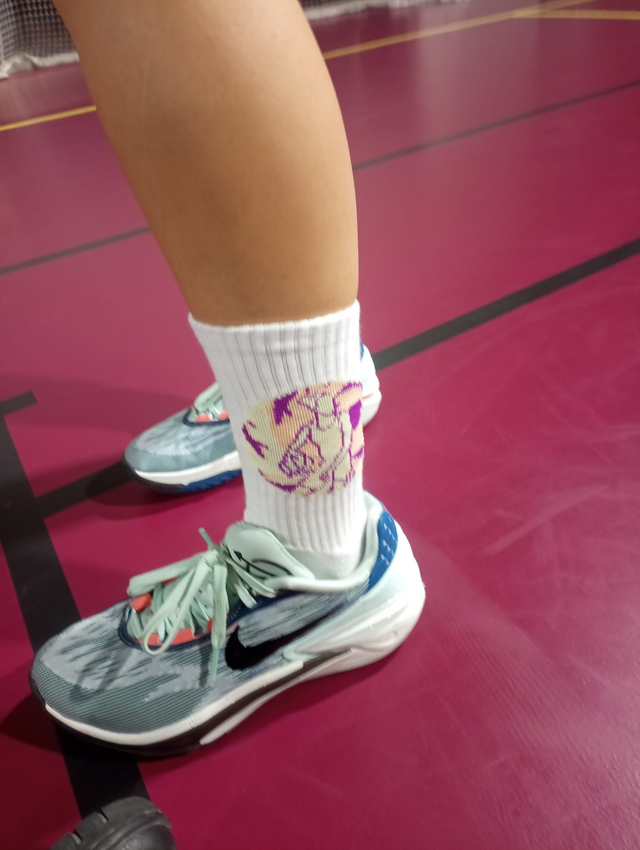 Chaussette Eragny Lady Basket  (2 paires)