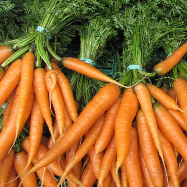 Carottes botte