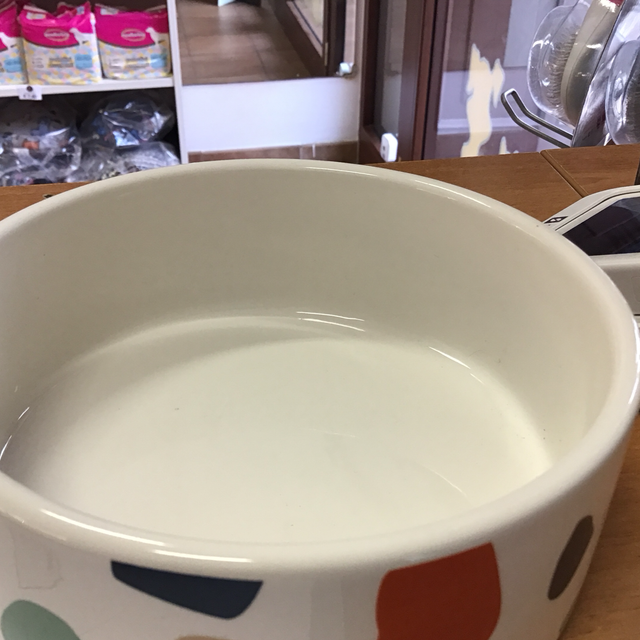 Ciotola cane ceramica grande 8021799419097