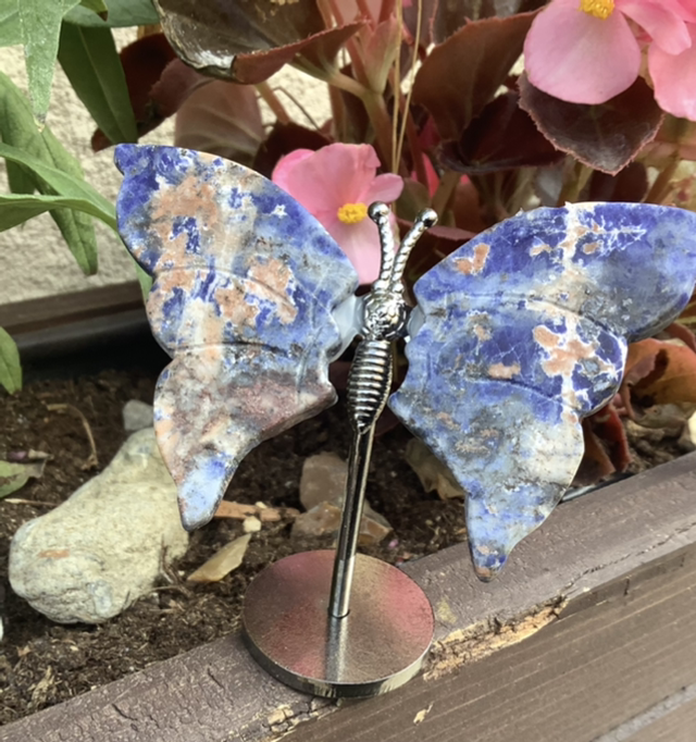 Papillon en Sodalite