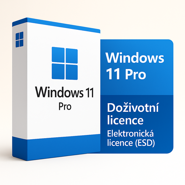 Windows 11 professional 
