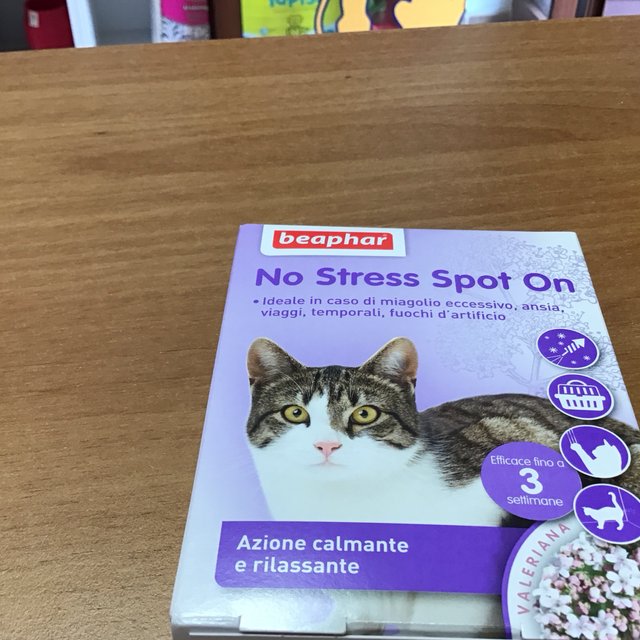 BEAPHAR NO STRESS SPOT ON PIPETTE GATTO DURATA 3 SETTIMANE 8711231139156
