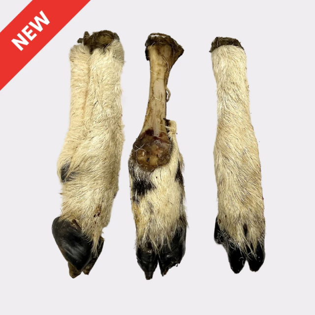 Hairy lamb feet
