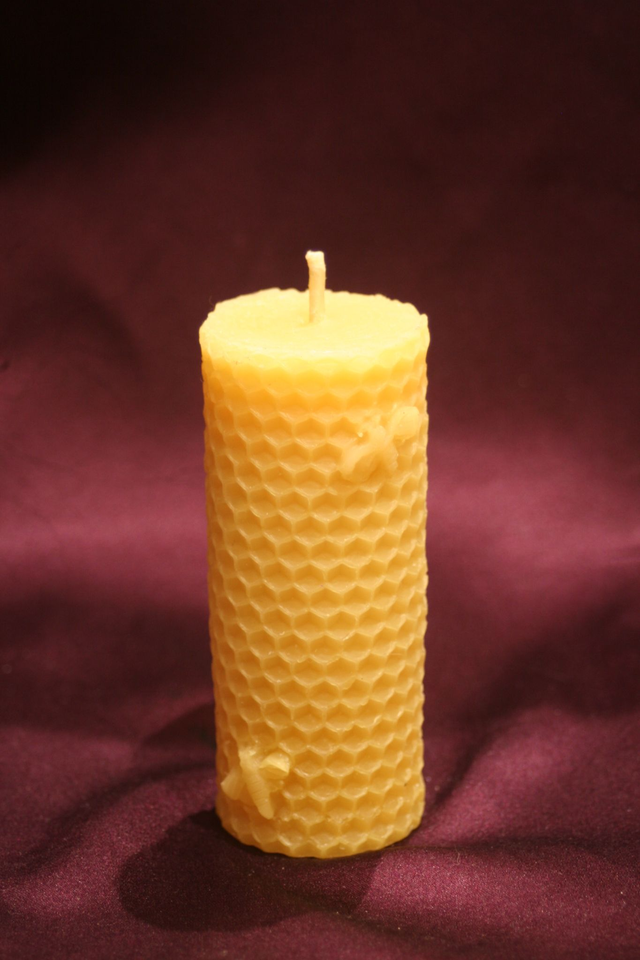 Comb pillar with bees