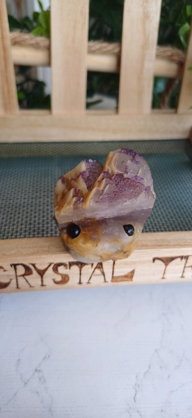 Whimzel - Crystal Critter