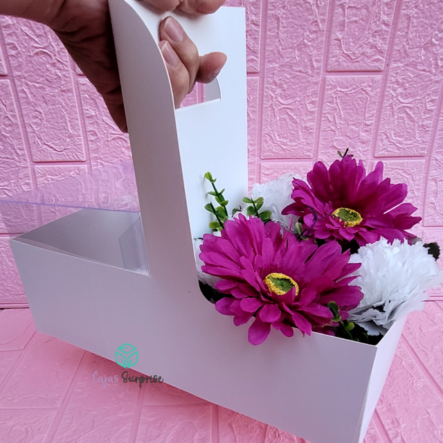 Box Porta Mini Torta