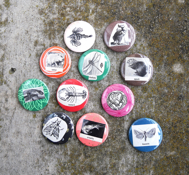 Badges 37mm récup de dictionnaire larousse 1971 - Animaux et insectes divers 