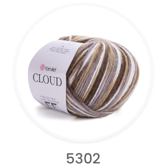Cloud 5302