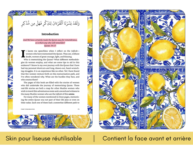 Skin pour liseuse - Santorin