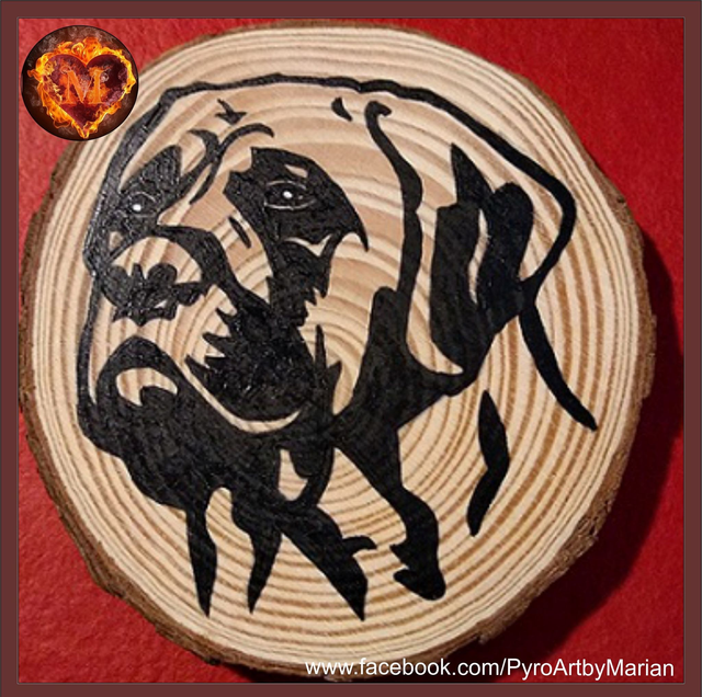 The Bullmastiff  🐶💖