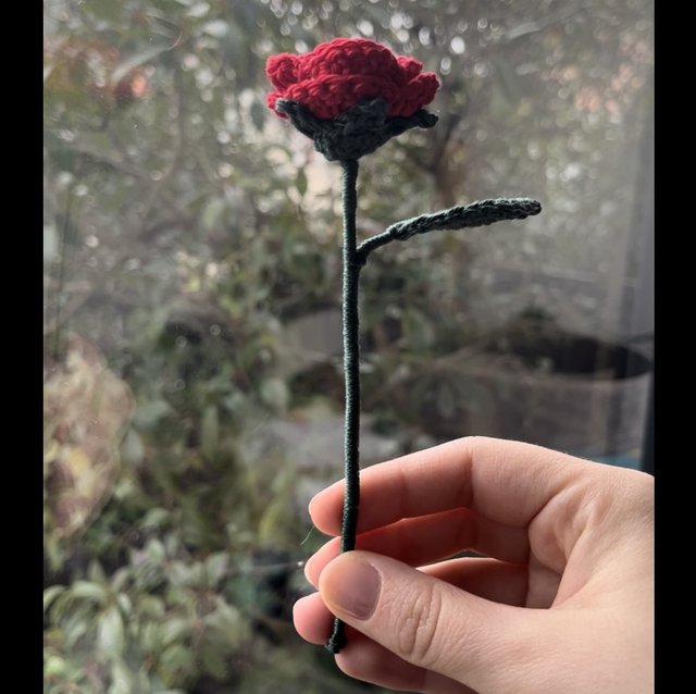 Rose 