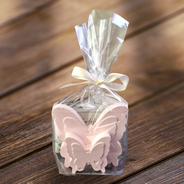 Schmetterling 2er-Set 