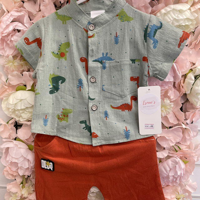 Dino shirt and shorts set 