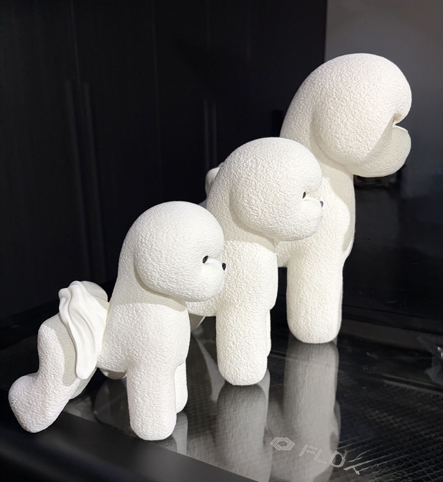 Bichon Frisé - White