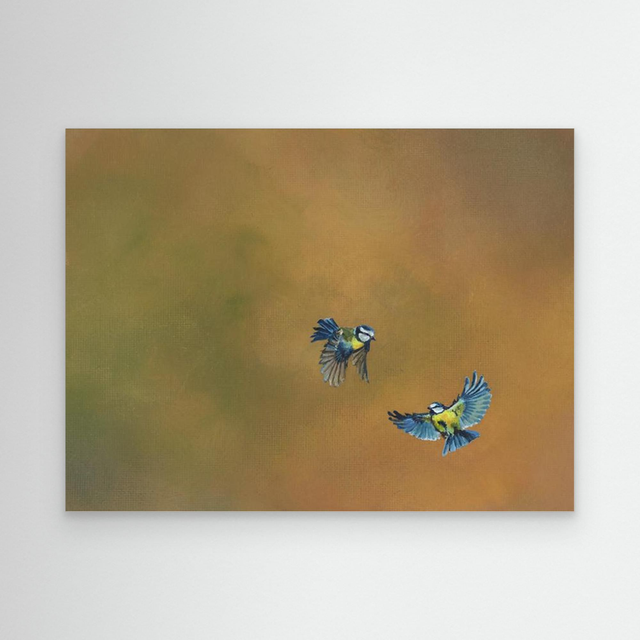 Fragments of Sky - (Blue Tits)