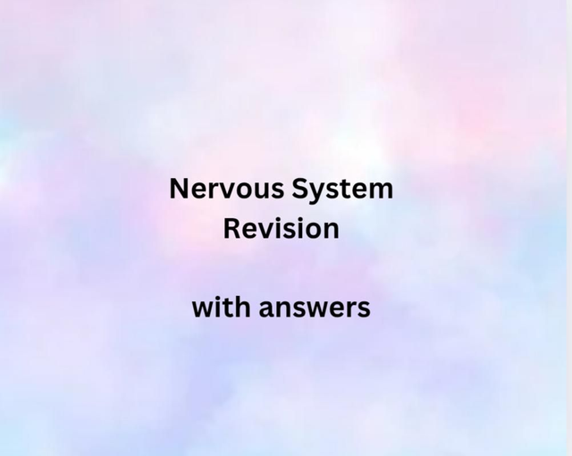 Nervous System Revision