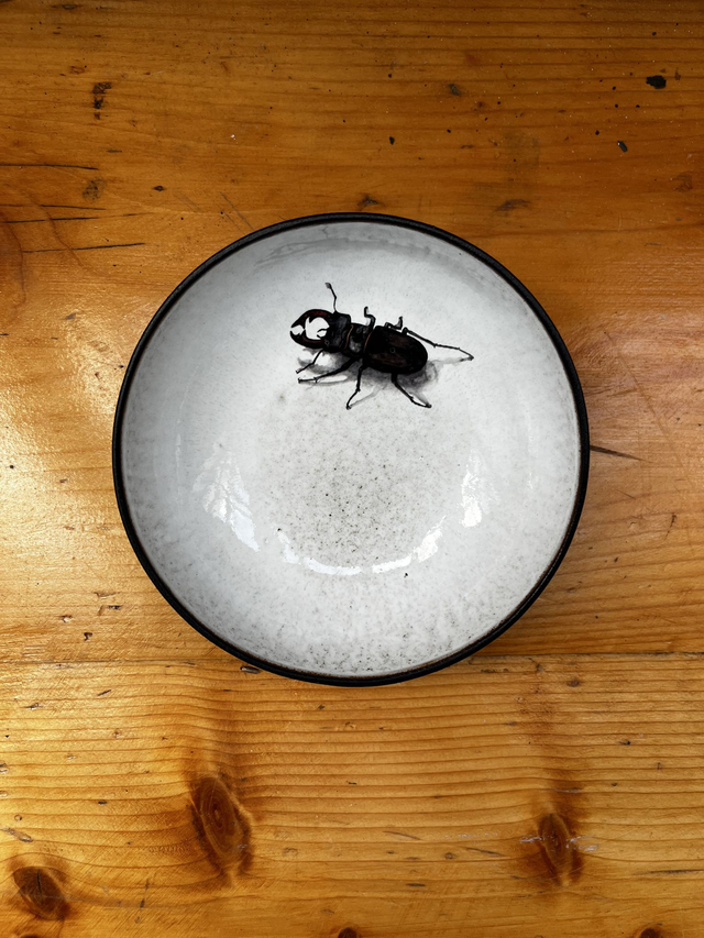 Eisschale 14 cm (MSM) Hirschkäfer