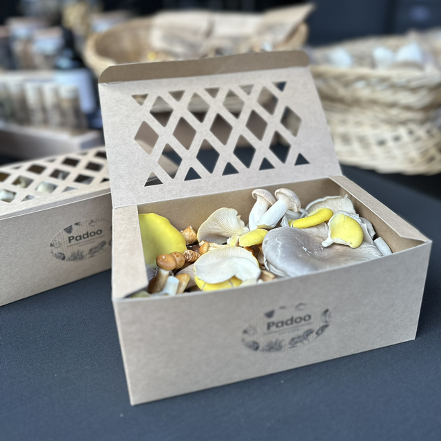 Farm To Table Box BIO MIX - 340g