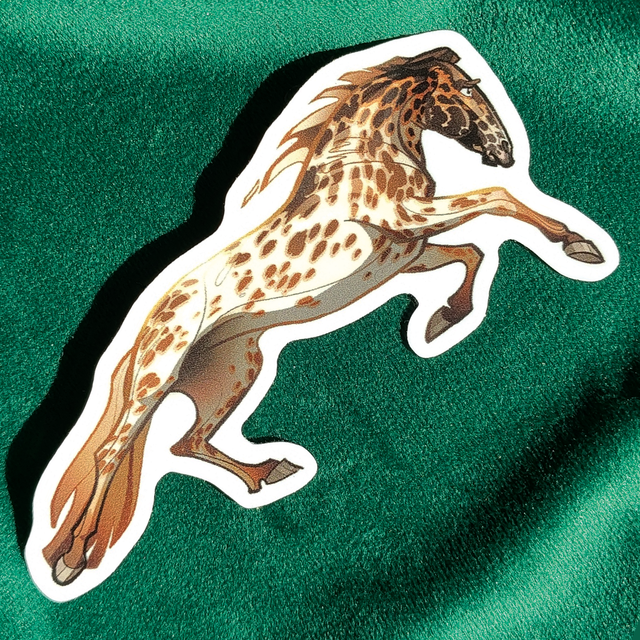 Sticker - Jument Appaloosa