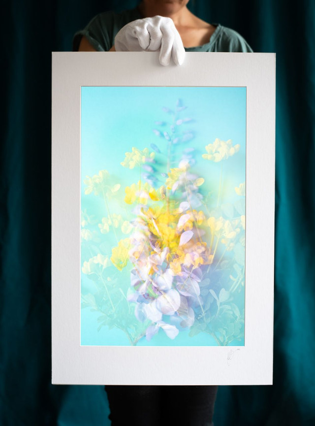 Collection du printemps * 1