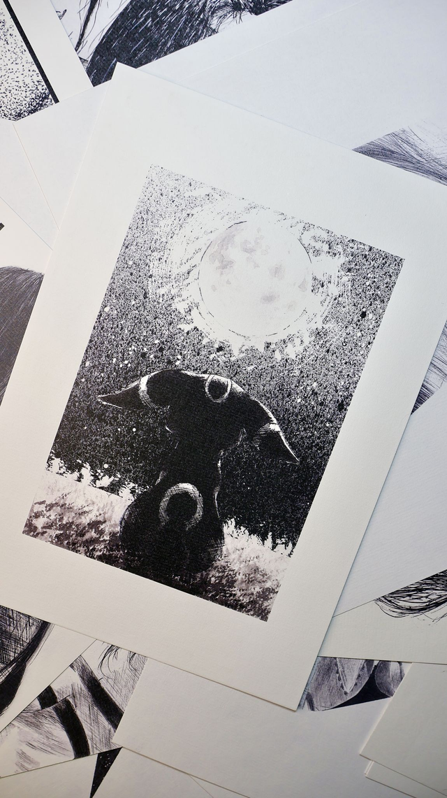 NOCTALI • SÉRIE POKEMON