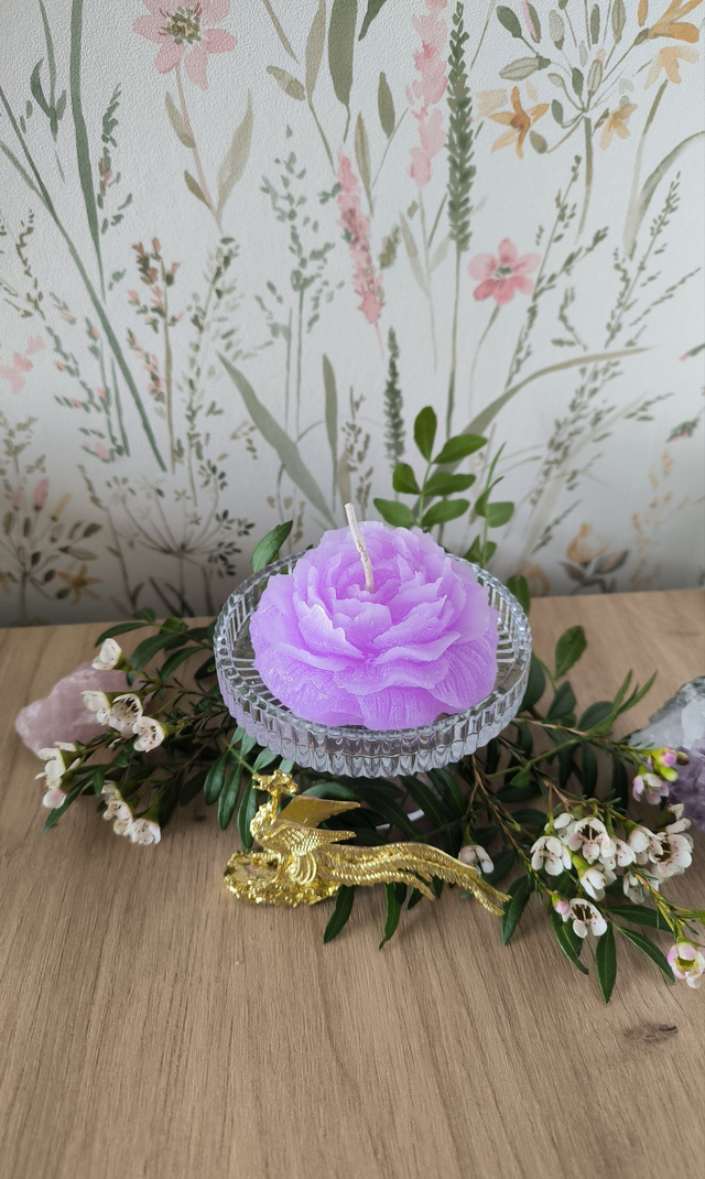  Bougie Pivoine effet givré lavande